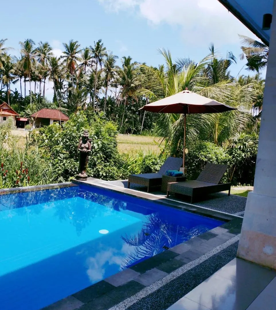 Sunset Pandawa Villa Ubud  0*, Ubud (Bali)