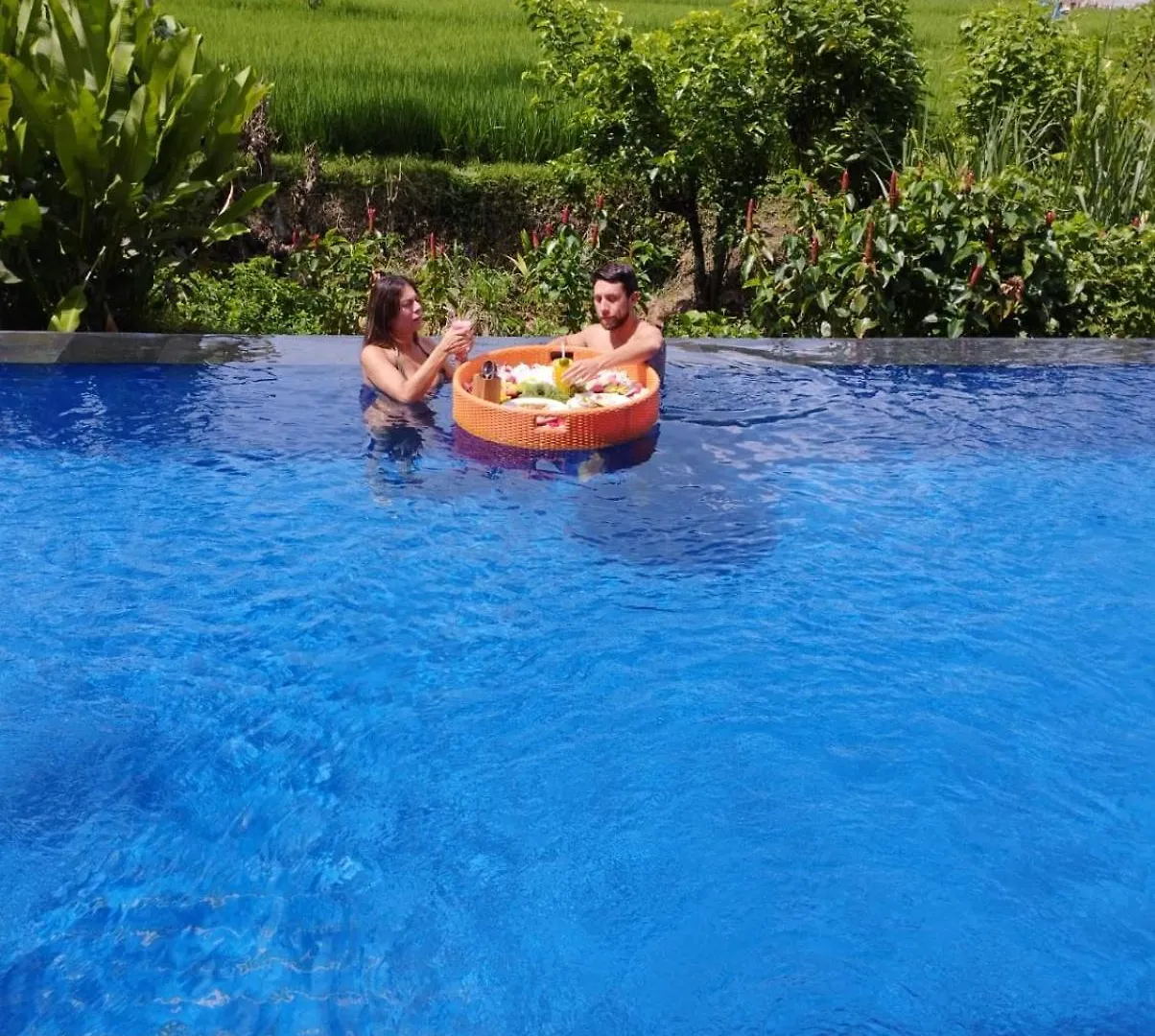 Homestay Sunset Pandawa Villa Ubud  Indonesia