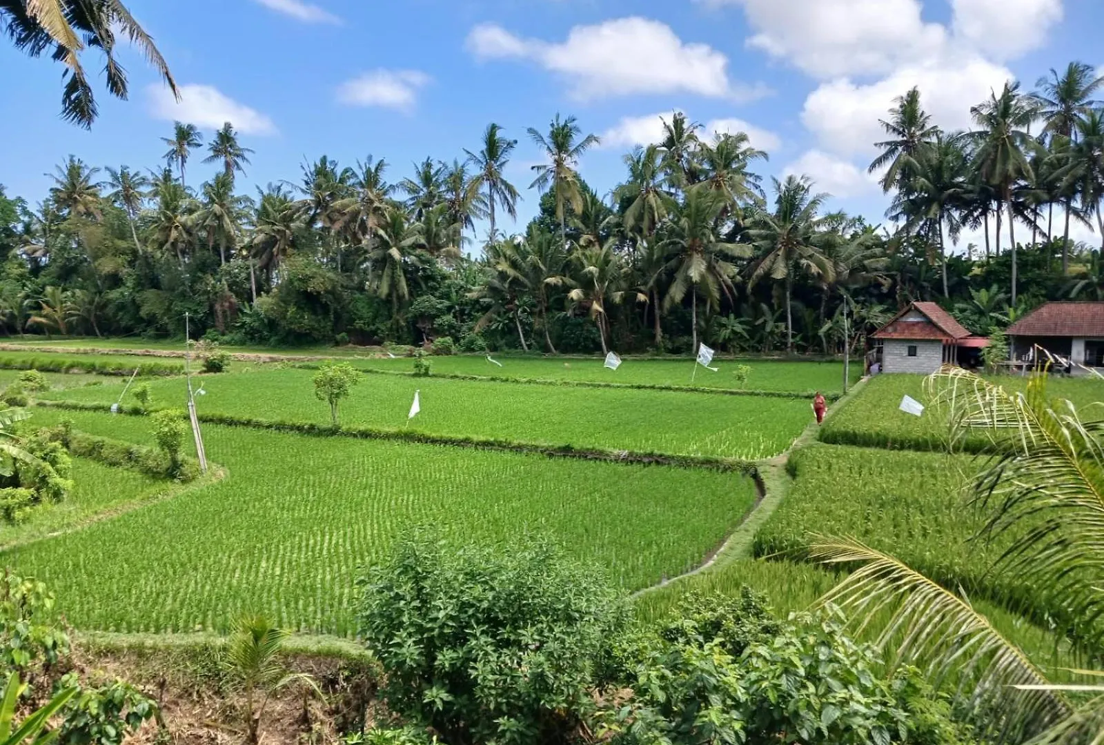 Sunset Pandawa Villa Ubud  Indonesia
