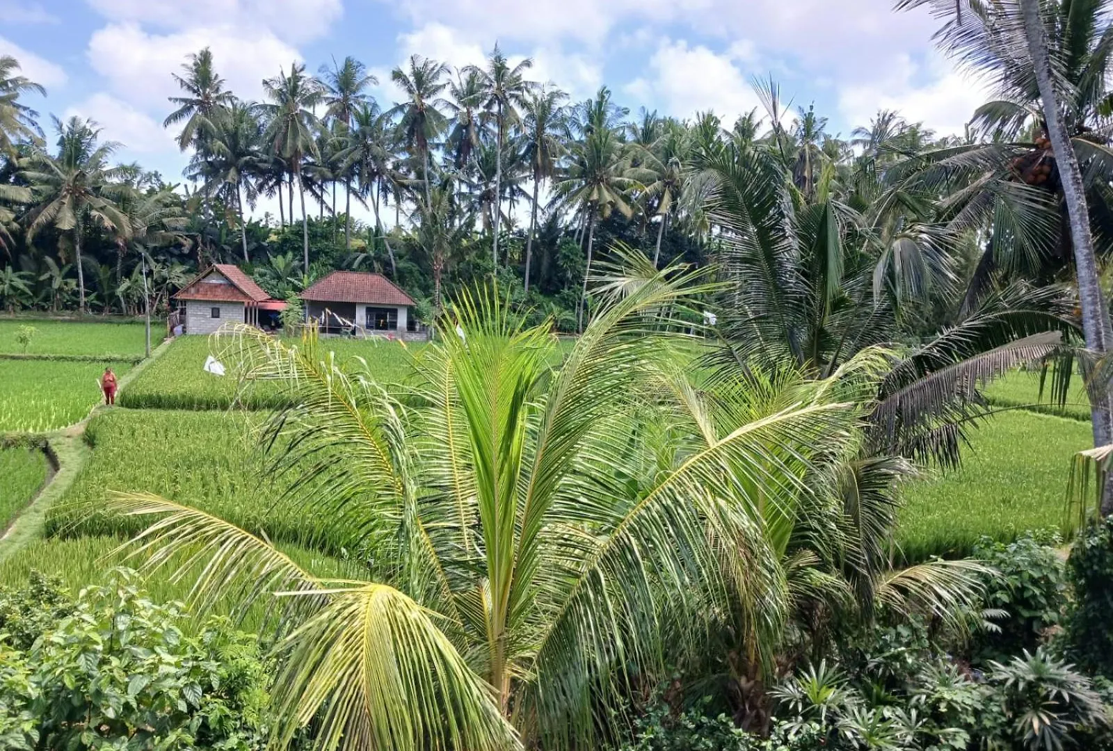 Sunset Pandawa Villa Ubud Privatunterkunft